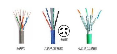 网络必备课 最全最易懂的网线与光纤电缆区分指南